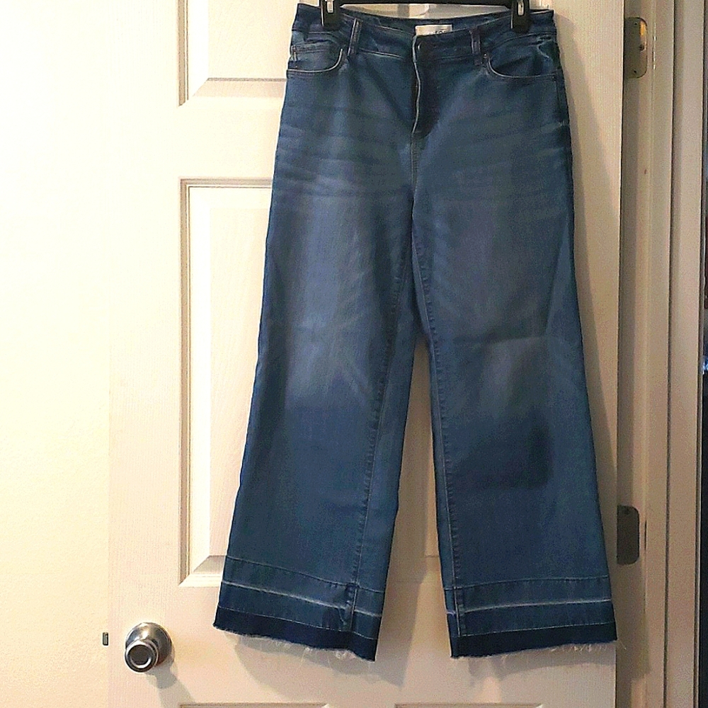 Ann Taylor Loft Wide Legged Cropped Jeans